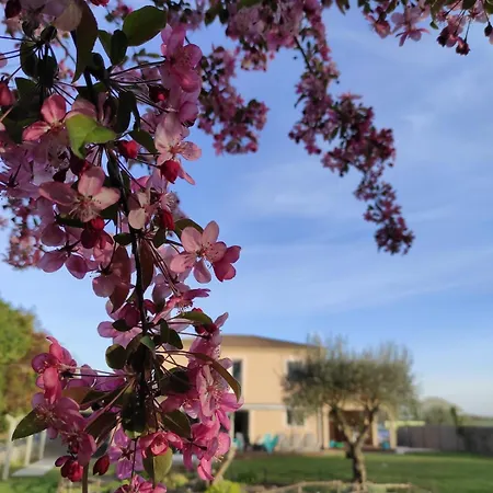 Maison Toute Equipee, 8 Couchages, Piscine Hors-sol *