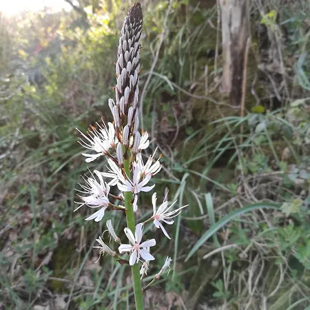 Maison Toute Equipee, 8 Couchages, Piscine Hors-sol Casa de Férias *