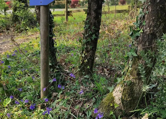 Maison Toute Equipee, 8 Couchages, Piscine Hors-sol *