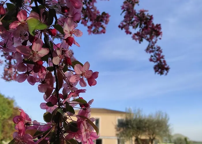 Maison Toute Equipee, 8 Couchages, Piscine Hors-sol *