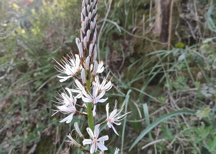 Maison Toute Equipee, 8 Couchages, Piscine Hors-sol Vakantiehuis *